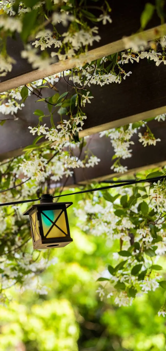 Illustratives Hintergrundbild